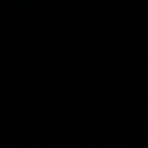 Meet your Posher, Reyes